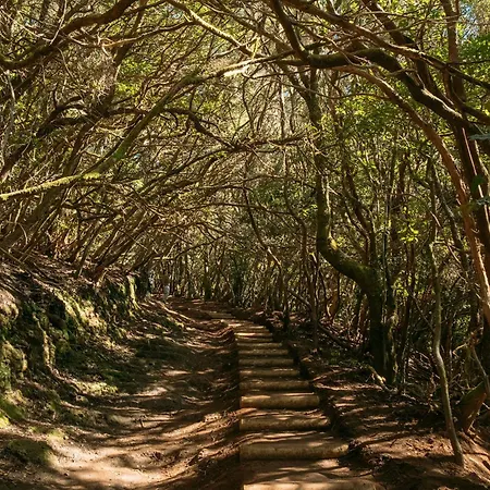 Secret Location Of Teresitas *