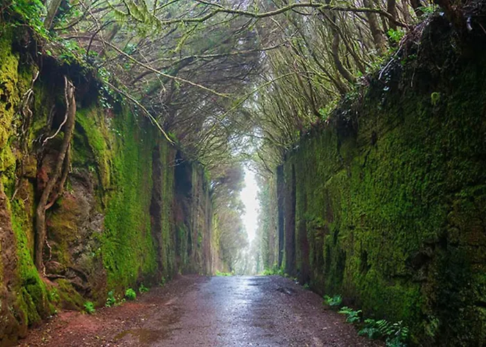 Secret Location Of Teresitas Апартаменты *