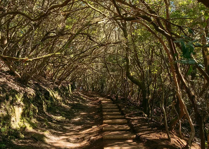 Secret Location Of Teresitas *